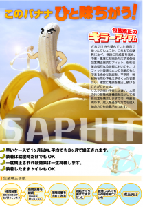 サフィット効果